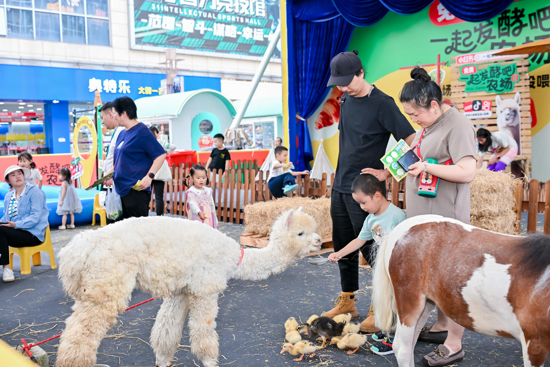 2025.7.21兩周年活動(dòng)掀起多巴胺風(fēng)暴 南悅城愛(ài)琴海煥新城市新聚場(chǎng)3.jpeg